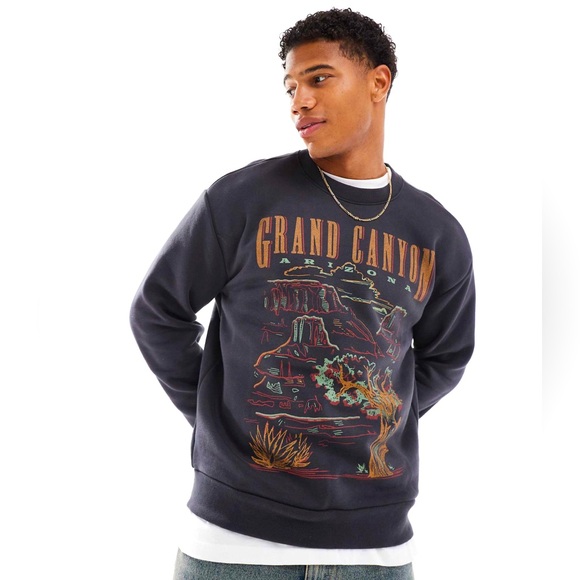 Hollister Arizona Graphic Print Crewneck Sweatshirt in Washed Black size Large - Picture 1 of 11